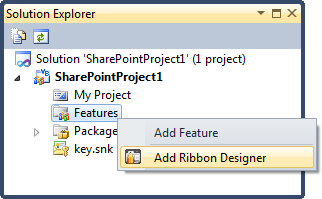 Adding a Ribbon Designer feature